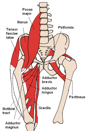Bursitis heup