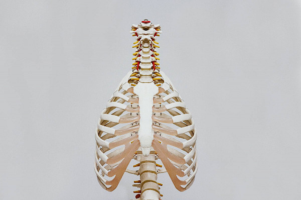 Nekhernia